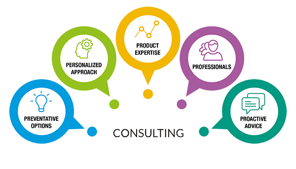 Consulting Consulting